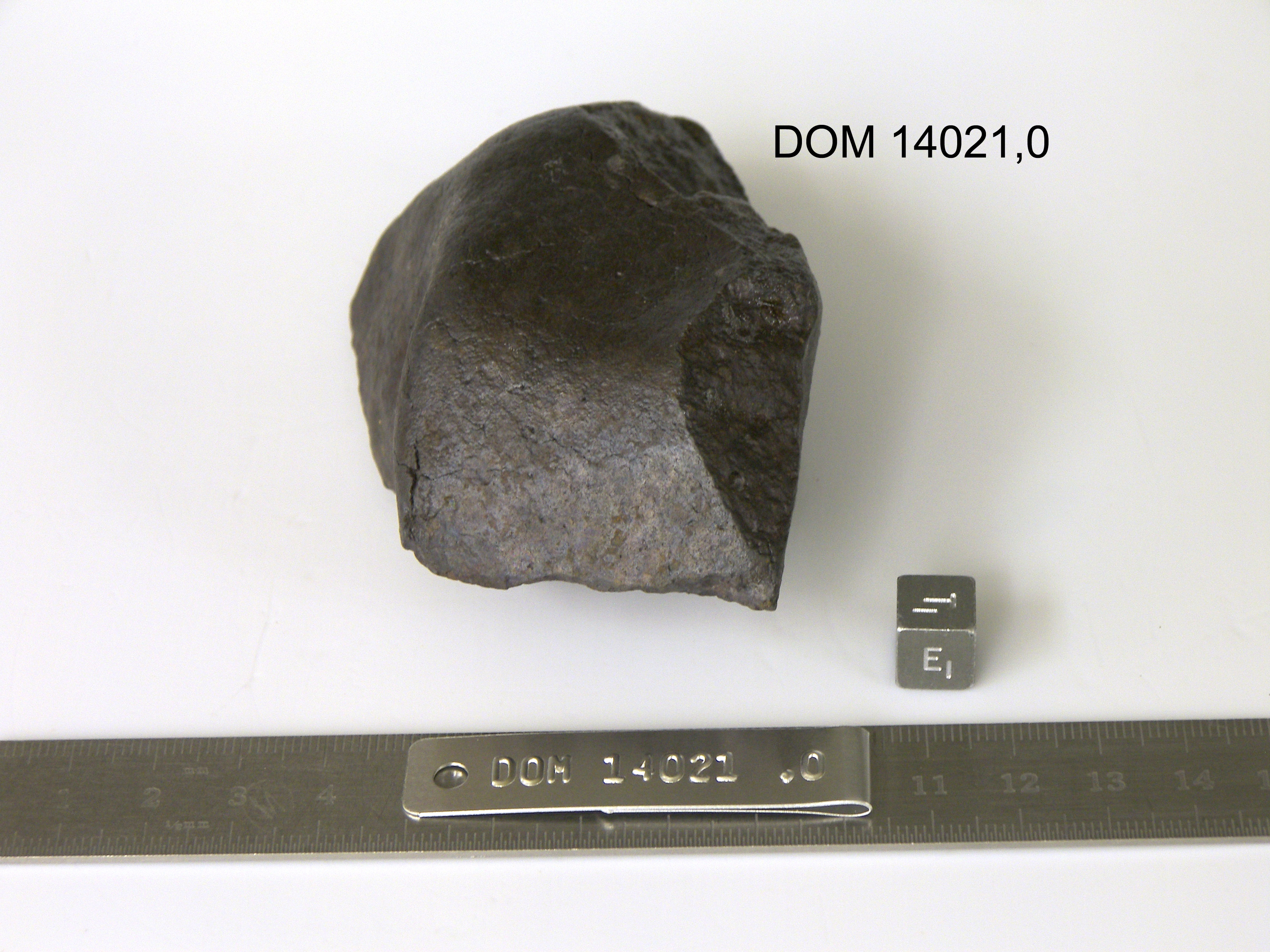 Lab Photo of Sample DOM 14021 Displaying East Orientation