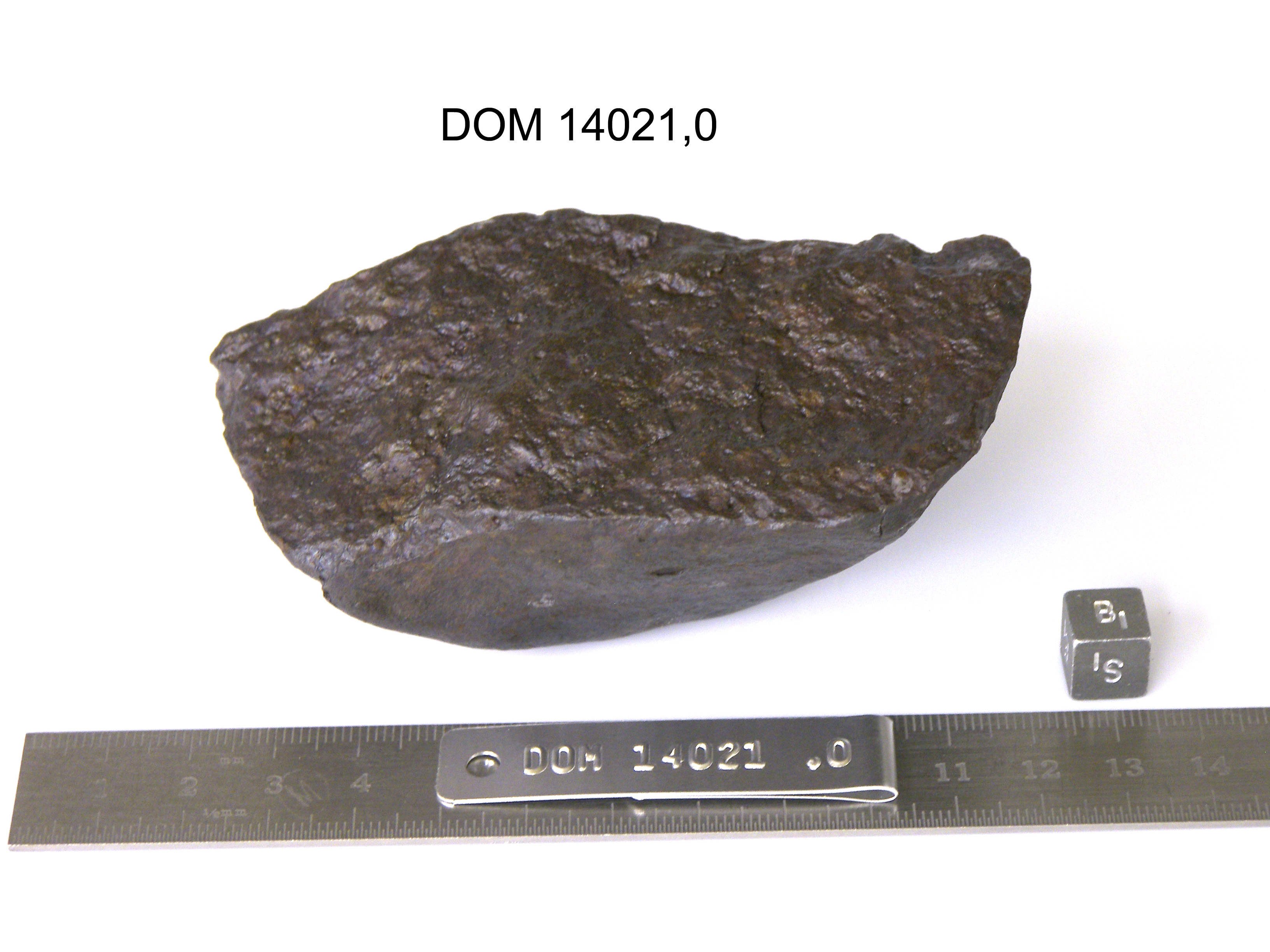 Lab Photo of Sample DOM 14021 Displaying South Orientation