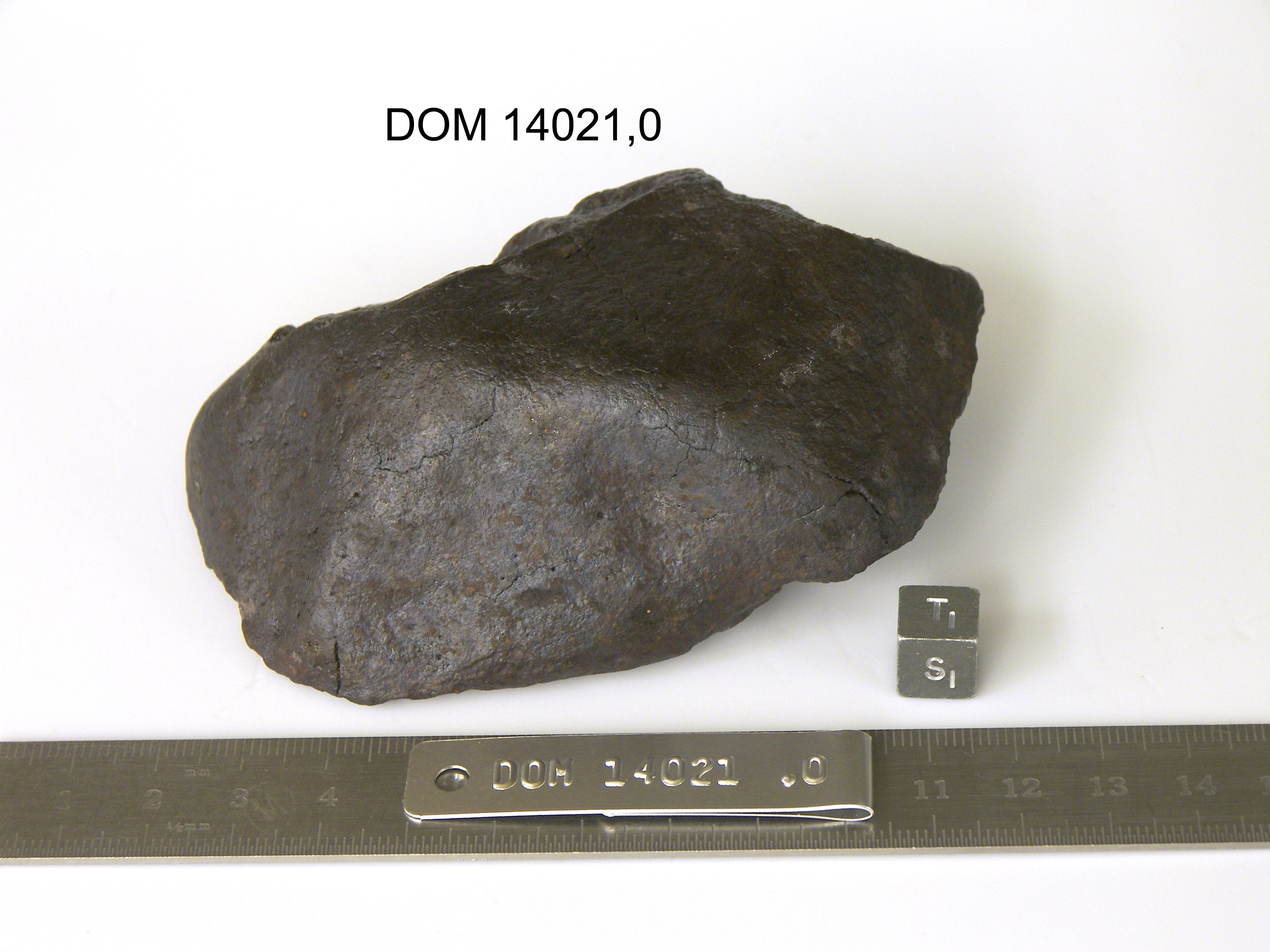 Lab Photo of Sample DOM 14021 Displaying Top Orientation