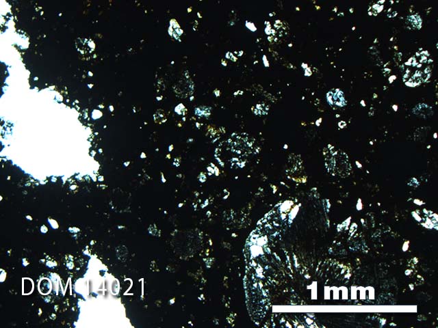 Thin Section Photo of Sample DOM 14021 in Plane-Polarized Light with 2.5X Magnification
