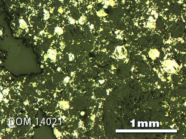 Thin Section Photo of Sample DOM 14021 in Reflected Light with 2.5X Magnification