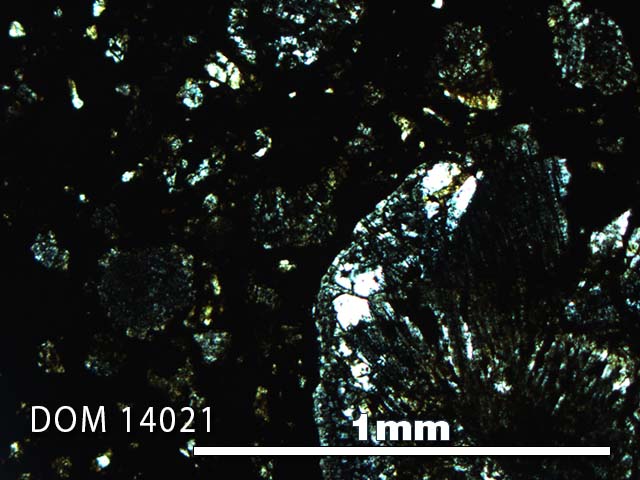 Thin Section Photo of Sample DOM 14021 in Plane-Polarized Light with 5X Magnification