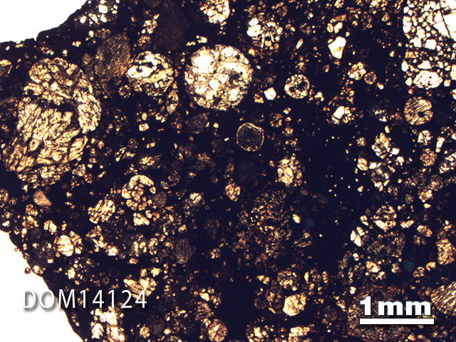 Thin Section Photo of Sample DOM 14124 in Plane-Polarized Light with 1.25X Magnification