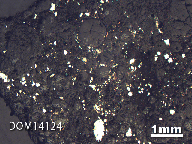 Thin Section Photo of Sample DOM 14124 in Reflected Light with 1.25X Magnification