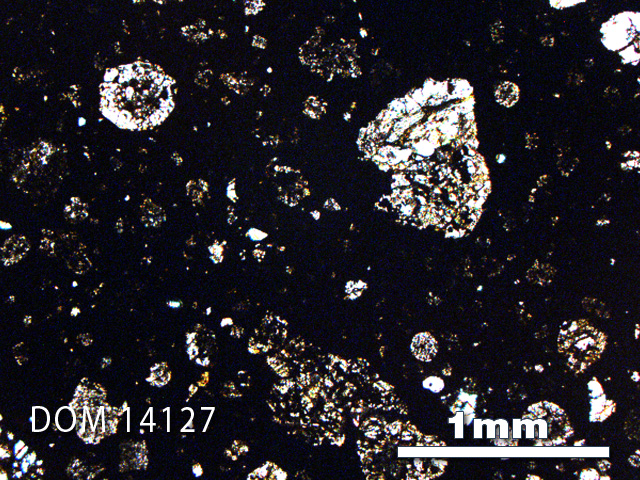Thin Section Photo of Sample DOM 14127 in Plane-Polarized Light with 2.5X Magnification