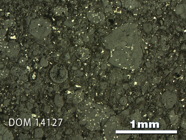 Thin Section Photo of Sample DOM 14127 in Reflected Light with 2.5X Magnification