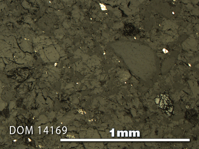 Thin Section Photo of Sample DOM 14169 in Reflected Light with 5X Magnification