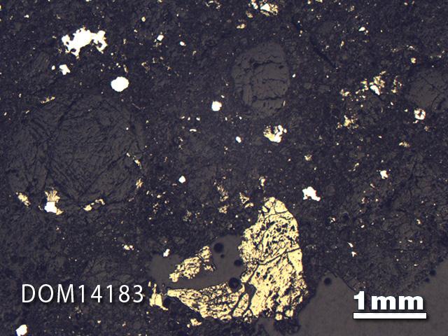 Thin Section Photo of Sample DOM 14183 in Reflected Light with 1.25X Magnification