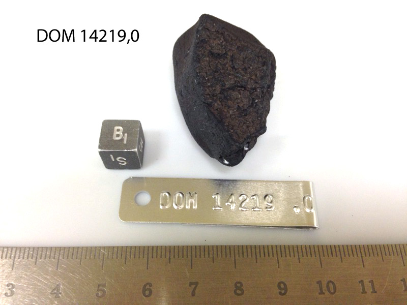 Lab Photo of Sample DOM 14219 Displaying South Orientation