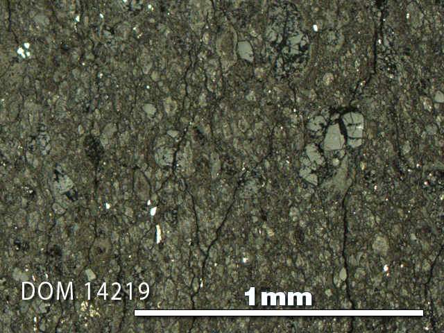 Thin Section Photo of Sample DOM 14219 in Reflected Light with 5X Magnification