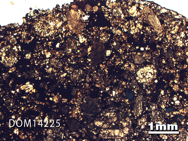 Thin Section Photo of Sample DOM 14225 in Plane-Polarized Light with 1.25X Magnification