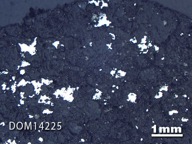 Thin Section Photo of Sample DOM 14225 in Reflected Light with 1.25X Magnification