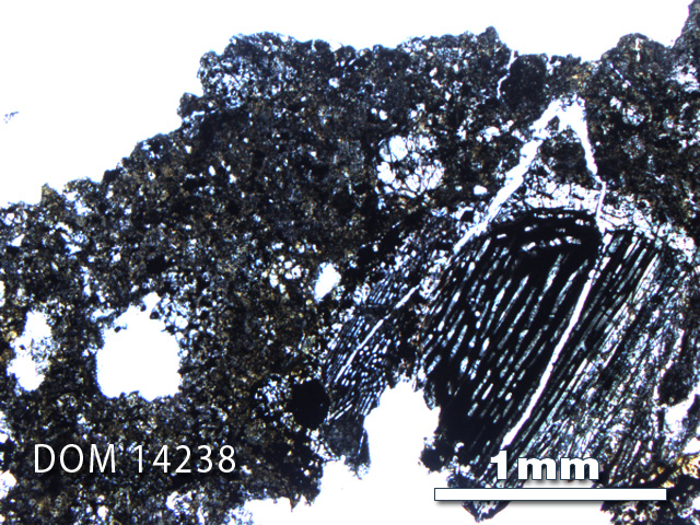 Thin Section Photo of Sample DOM 14238 in Plane-Polarized Light with 2.5X Magnification