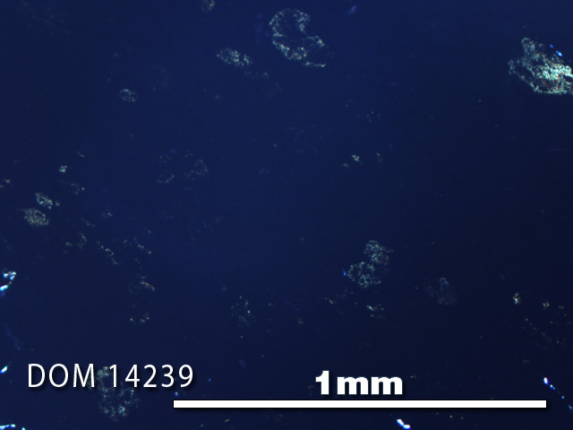 Thin Section Photo of Sample DOM 14239 in Plane-Polarized Light with 5X Magnification
