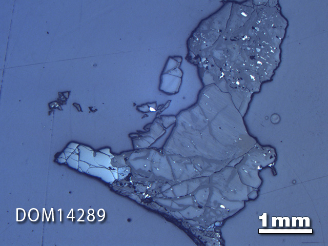 Thin Section Photo of Sample DOM 14289 in Reflected Light with 1.25X Magnification