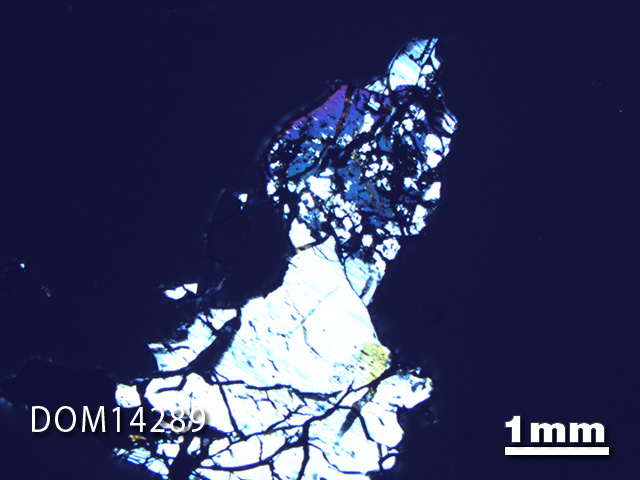 Thin Section Photo of Sample DOM 14289 in Cross-Polarized Light with 1.25X Magnification