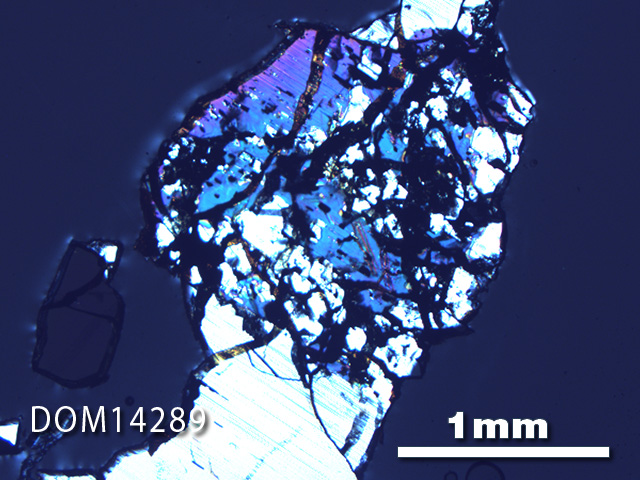 Thin Section Photo of Sample DOM 14289 in Cross-Polarized Light with 2.5X Magnification