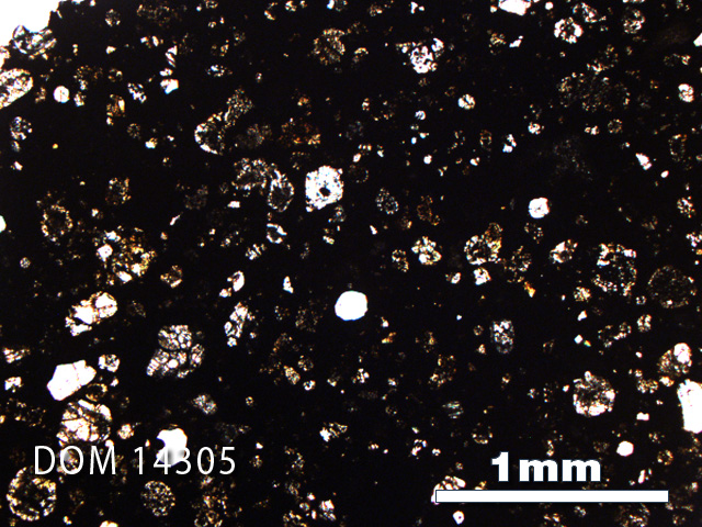 Thin Section Photo of Sample DOM 14305 in Plane-Polarized Light with 2.5X Magnification