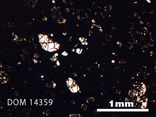 Thin Section Photo of Sample DOM 14359 in Plane-Polarized Light with 2.5X Magnification