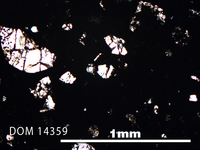 Thin Section Photo of Sample DOM 14359 in Plane-Polarized Light with 5X Magnification