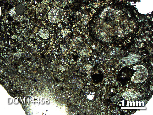 Thin Section Photo of Sample DOM 14458 in Plane-Polarized Light with 1.25X Magnification