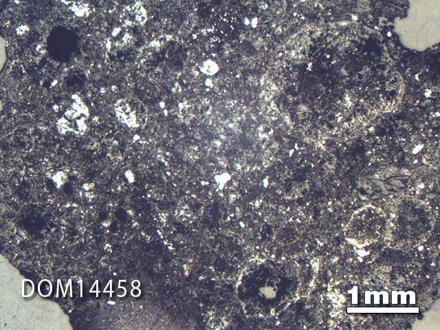 Thin Section Photo of Sample DOM 14458 in Reflected Light with 1.25X Magnification