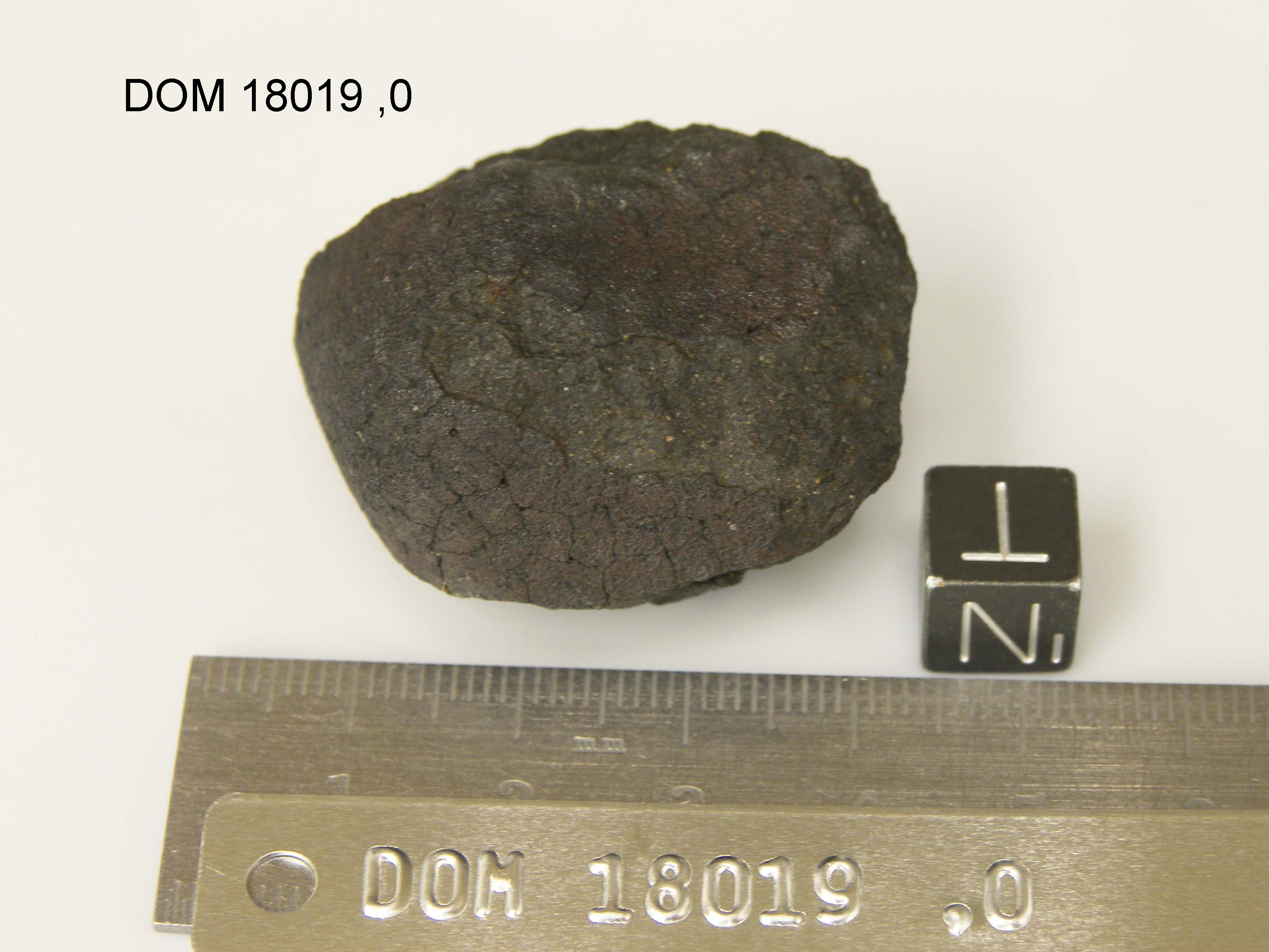 Lab Photo of Sample DOM 18019 Displaying Top North Orientation
