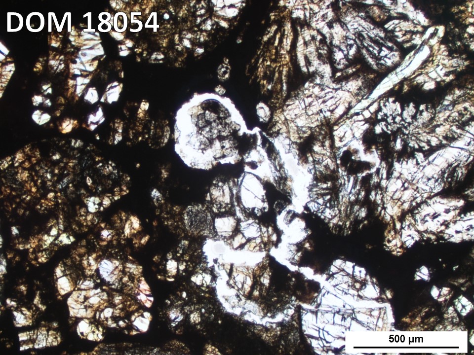 Thin Section Photo of Sample DOM 18054 in Plane-Polarized Light with 5X Magnification