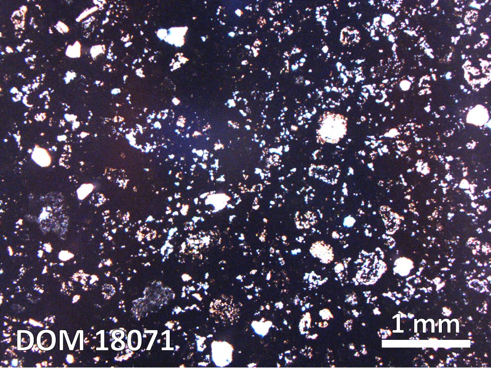 Thin Section Photo of Sample DOM 18071 in Plane-Polarized Light with 2.5X Magnification