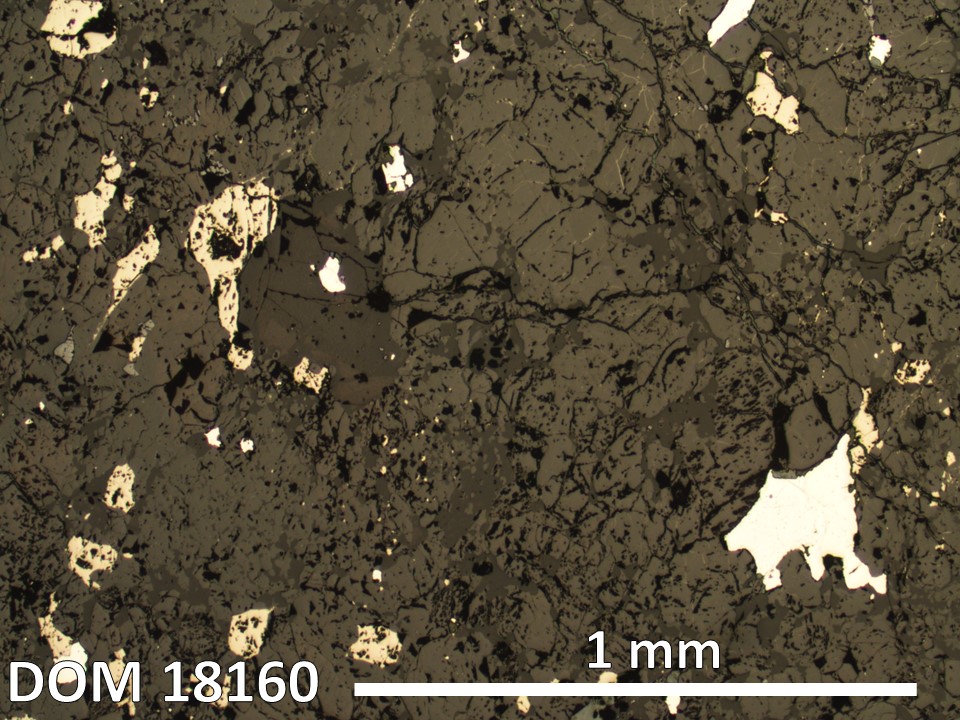 Thin Section Photo of Sample DOM 18160 in Reflected Light with 2.5X Magnification
