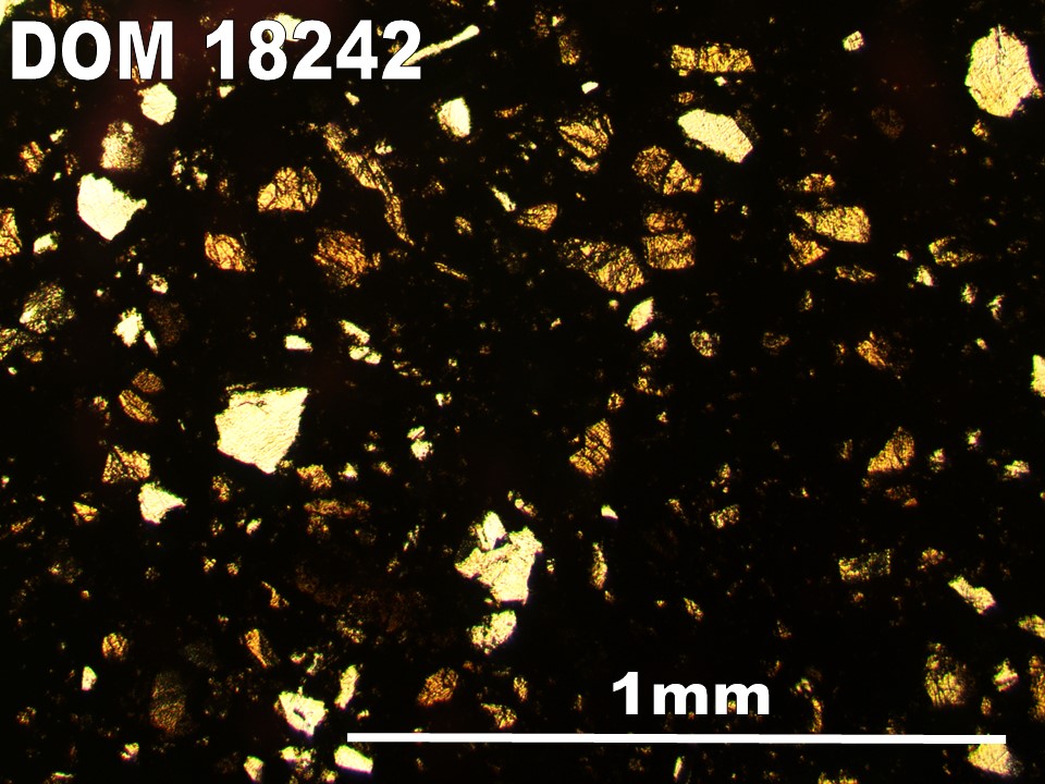 Thin Section Photo of Sample DOM 18242 in Plane-Polarized Light with 5X Magnification