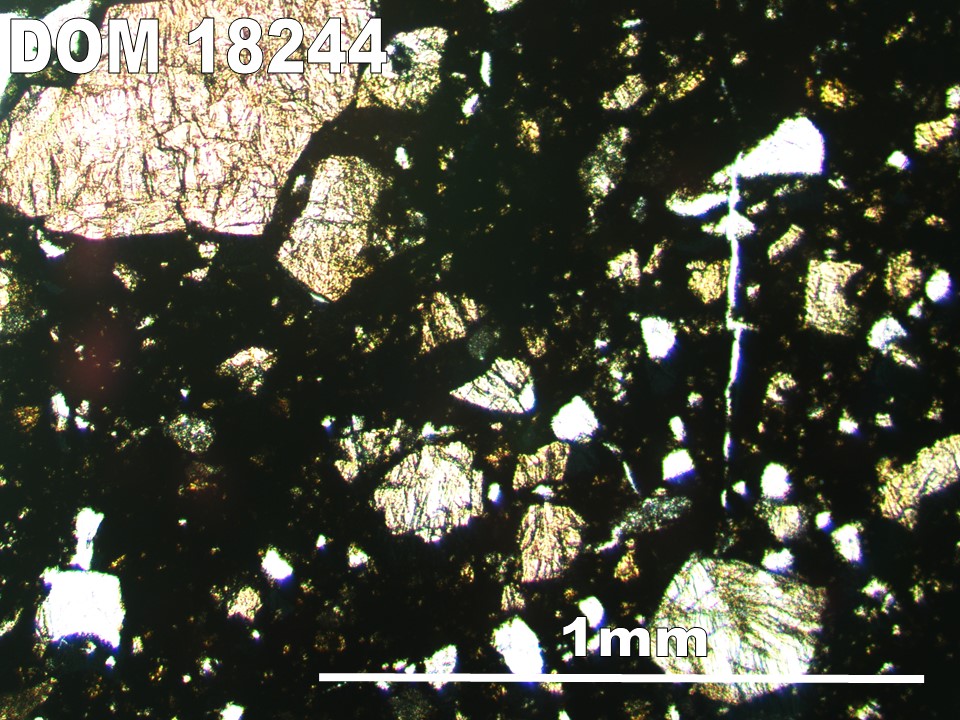 Thin Section Photo of Sample DOM 18244 in Plane-Polarized Light with 5X Magnification