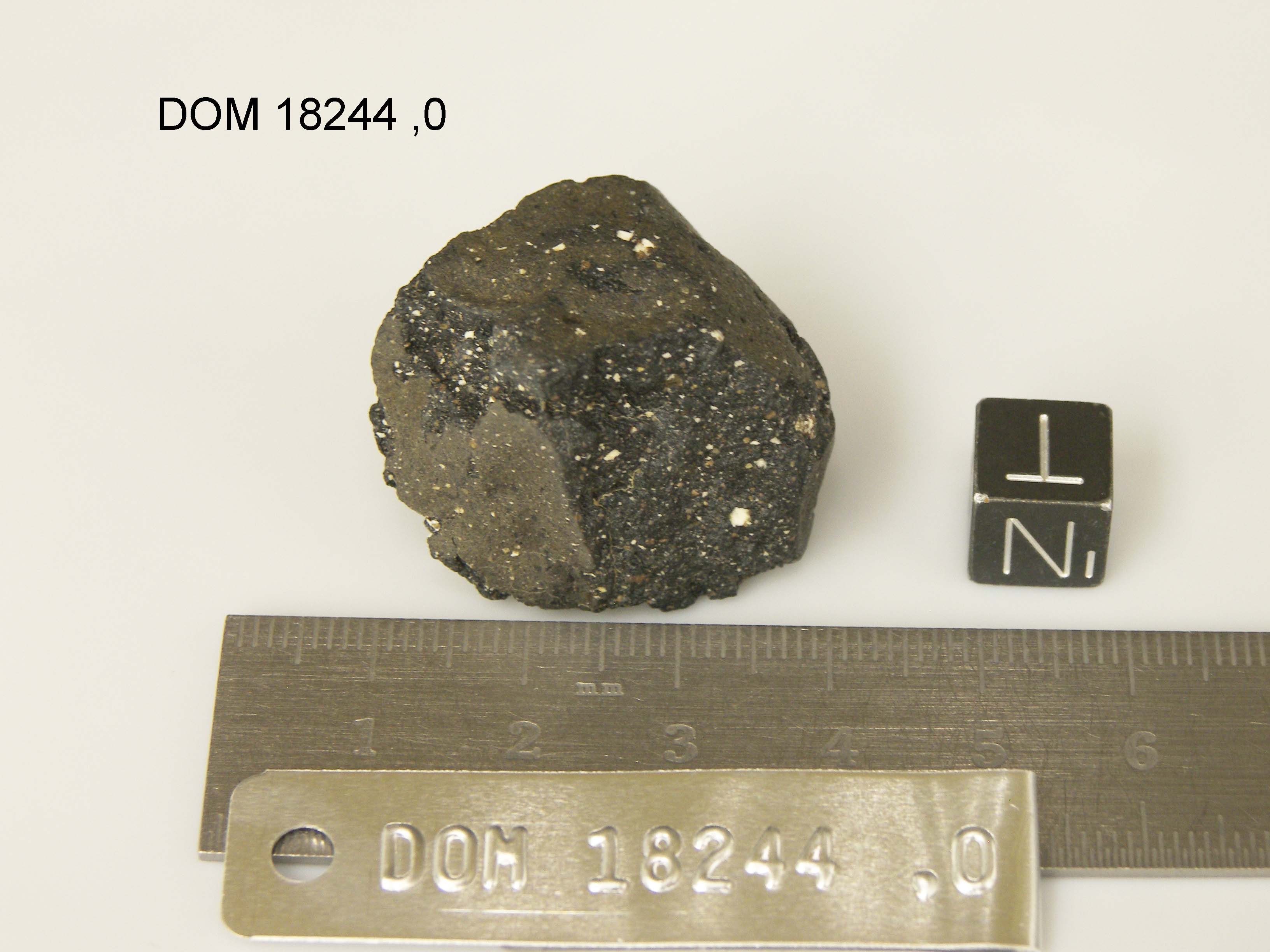 Lab Photo of Sample DOM 18244 Displaying Top North Orientation