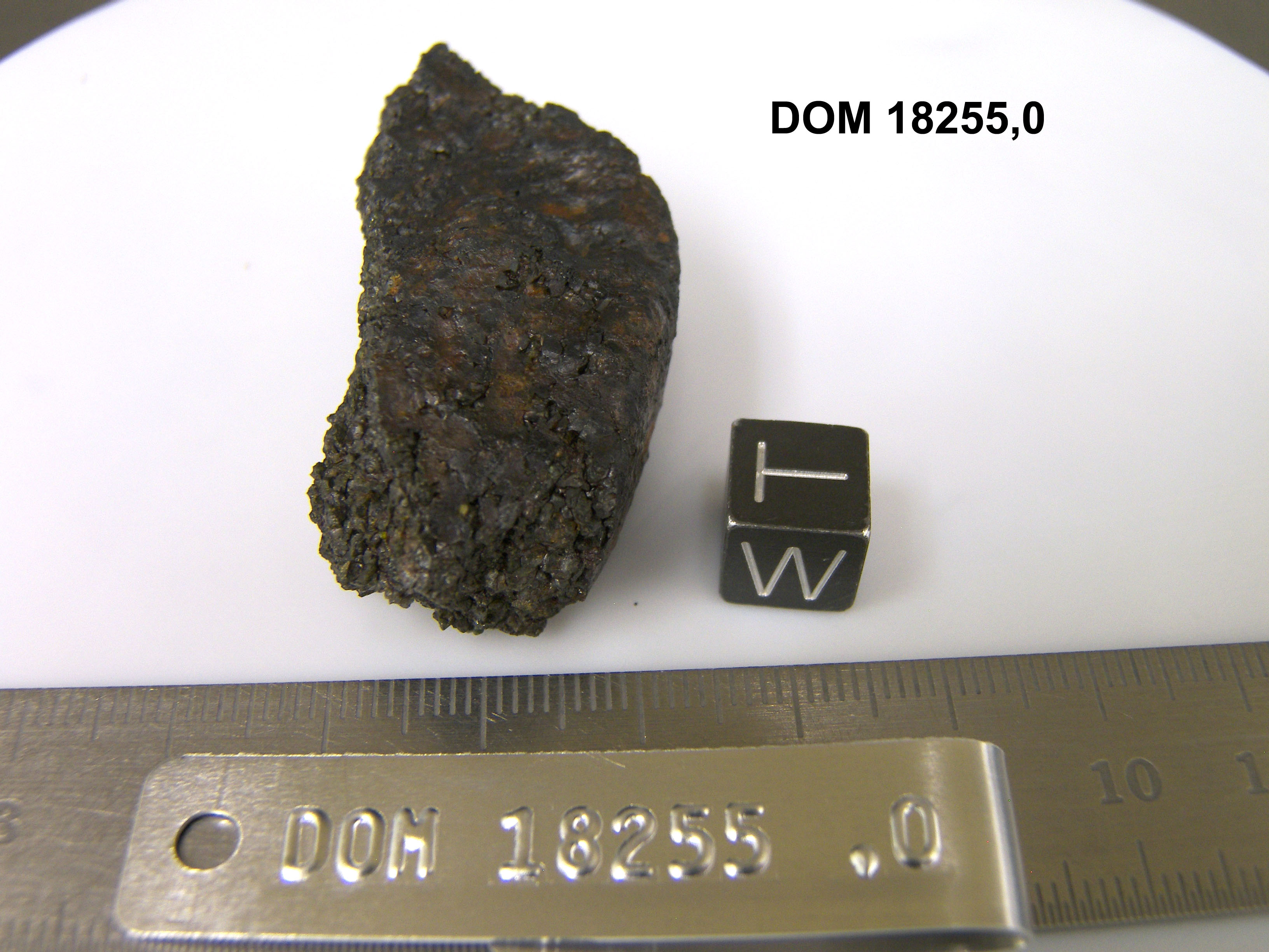 Lab Photo of Sample DOM 18255 Displaying West Orientation