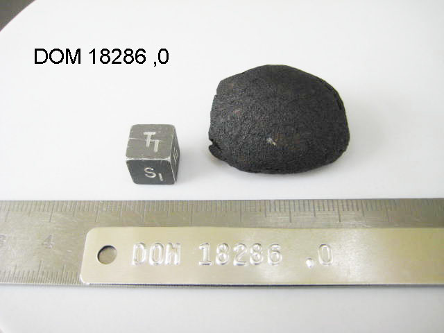 Lab Photo of Sample DOM 18286 Displaying Top South Orientation