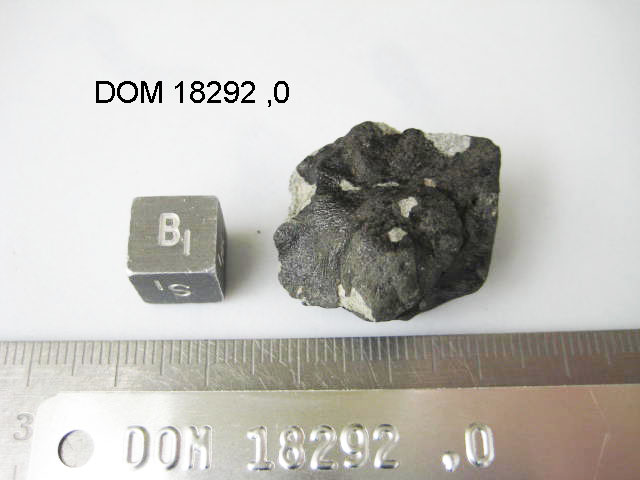 Lab Photo of Sample DOM 18292 Displaying Bottom South Orientation