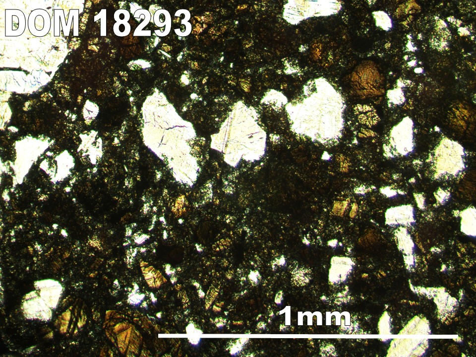 Thin Section Photo of Sample DOM 18293 in Plane-Polarized Light with 5X Magnification