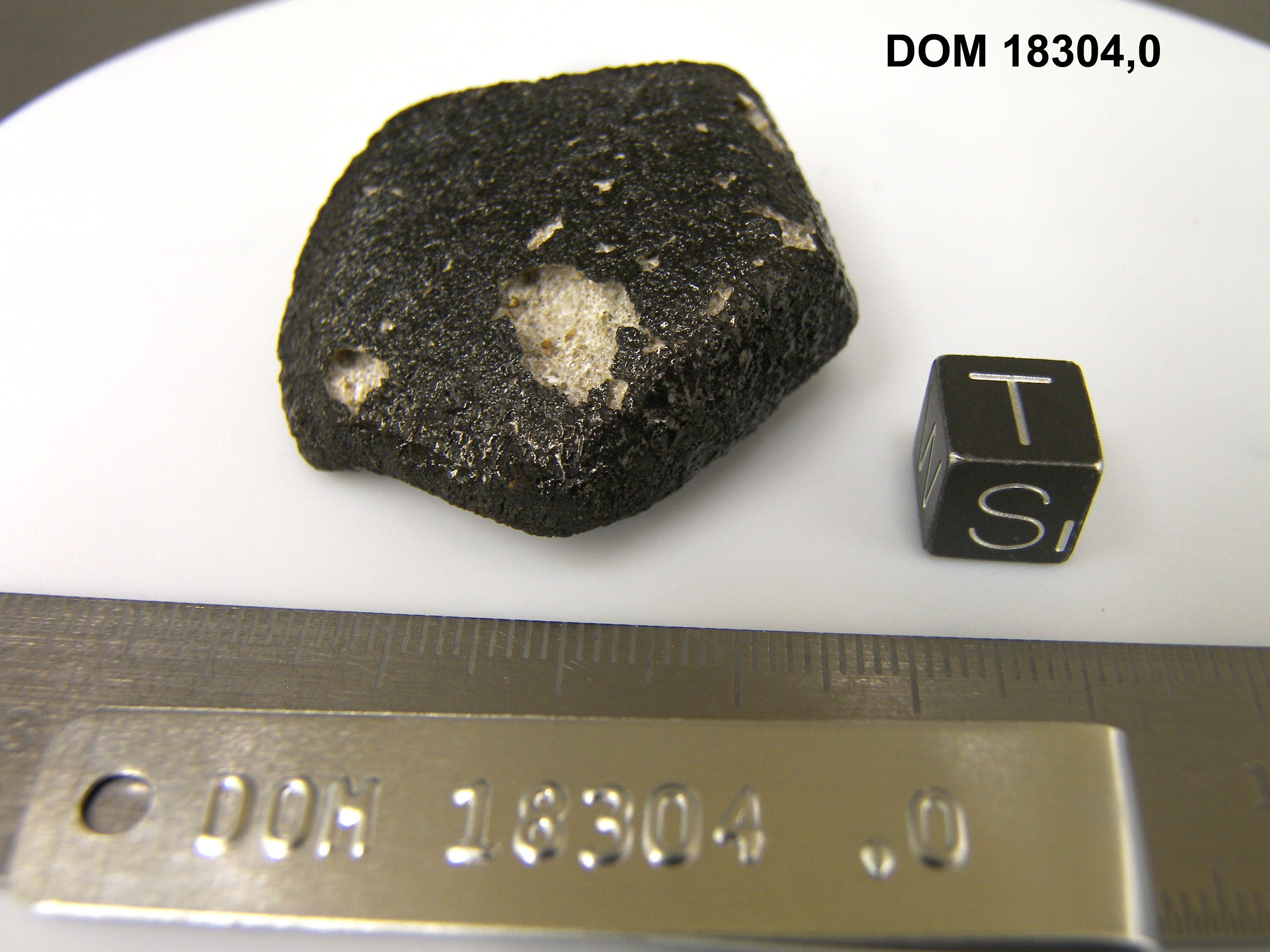 Lab Photo of Sample DOM 18304 Displaying South Orientation