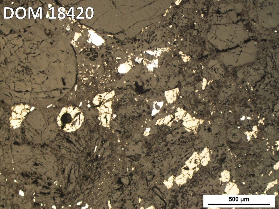 Thin Section Photo of Sample DOM 18420 in Reflected Light with 5X Magnification