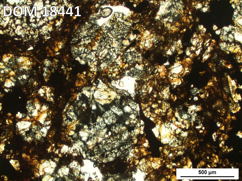 Thin Section Photo of Sample DOM 18441 in Plane-Polarized Light with 5X Magnification