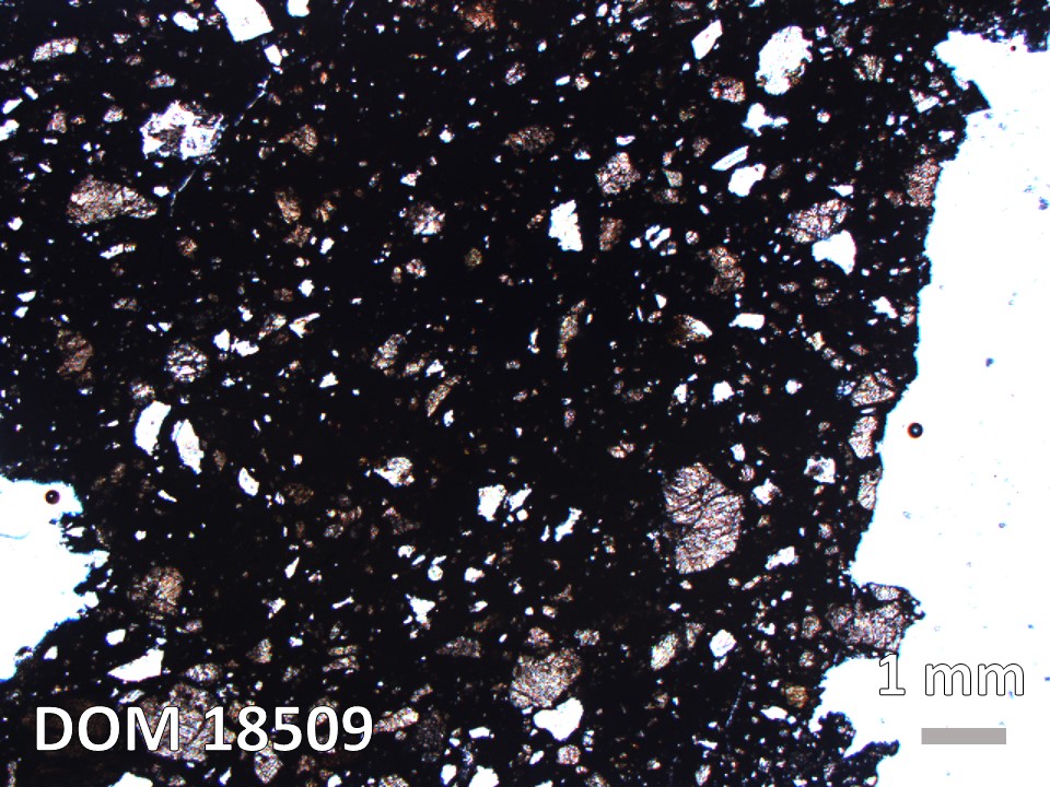 Thin Section Photo of Sample DOM 18509 in Plane-Polarized Light with 1.25X Magnification
