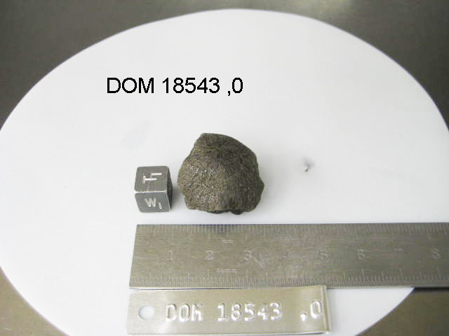 Lab Photo of Sample DOM 18543 Displaying Top West Orientation