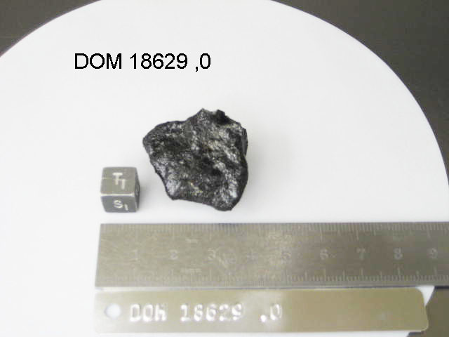 Lab Photo of Sample DOM 18629 Displaying Top South Orientation