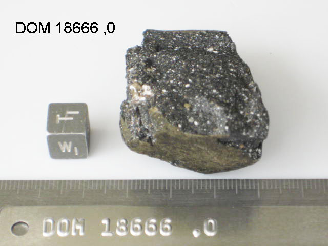 Lab Photo of Sample DOM 18666 Displaying Top West Orientation