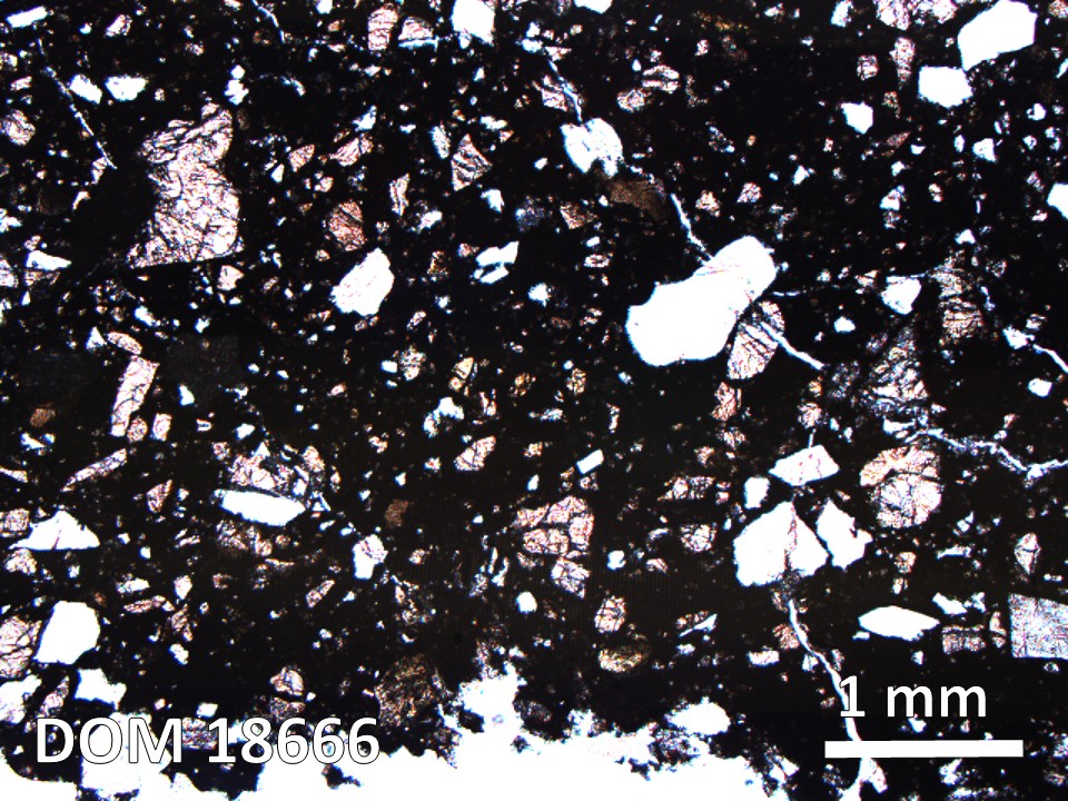 Thin Section Photo of Sample DOM 18666 in Plane-Polarized Light with 2.5X Magnification