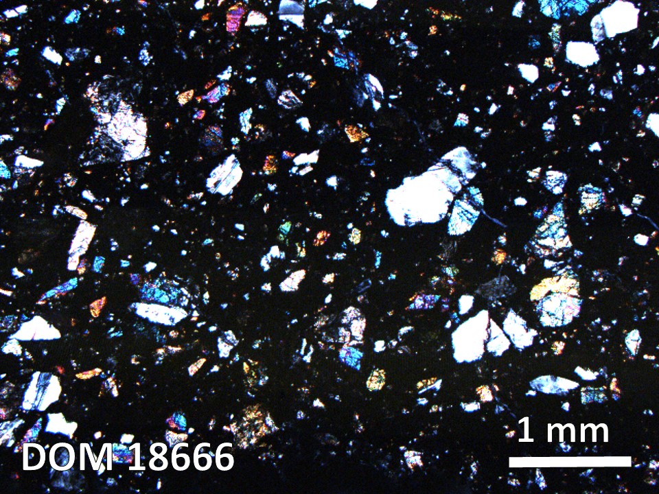 Thin Section Photo of Sample DOM 18666 in Cross-Polarized Light with 2.5X Magnification