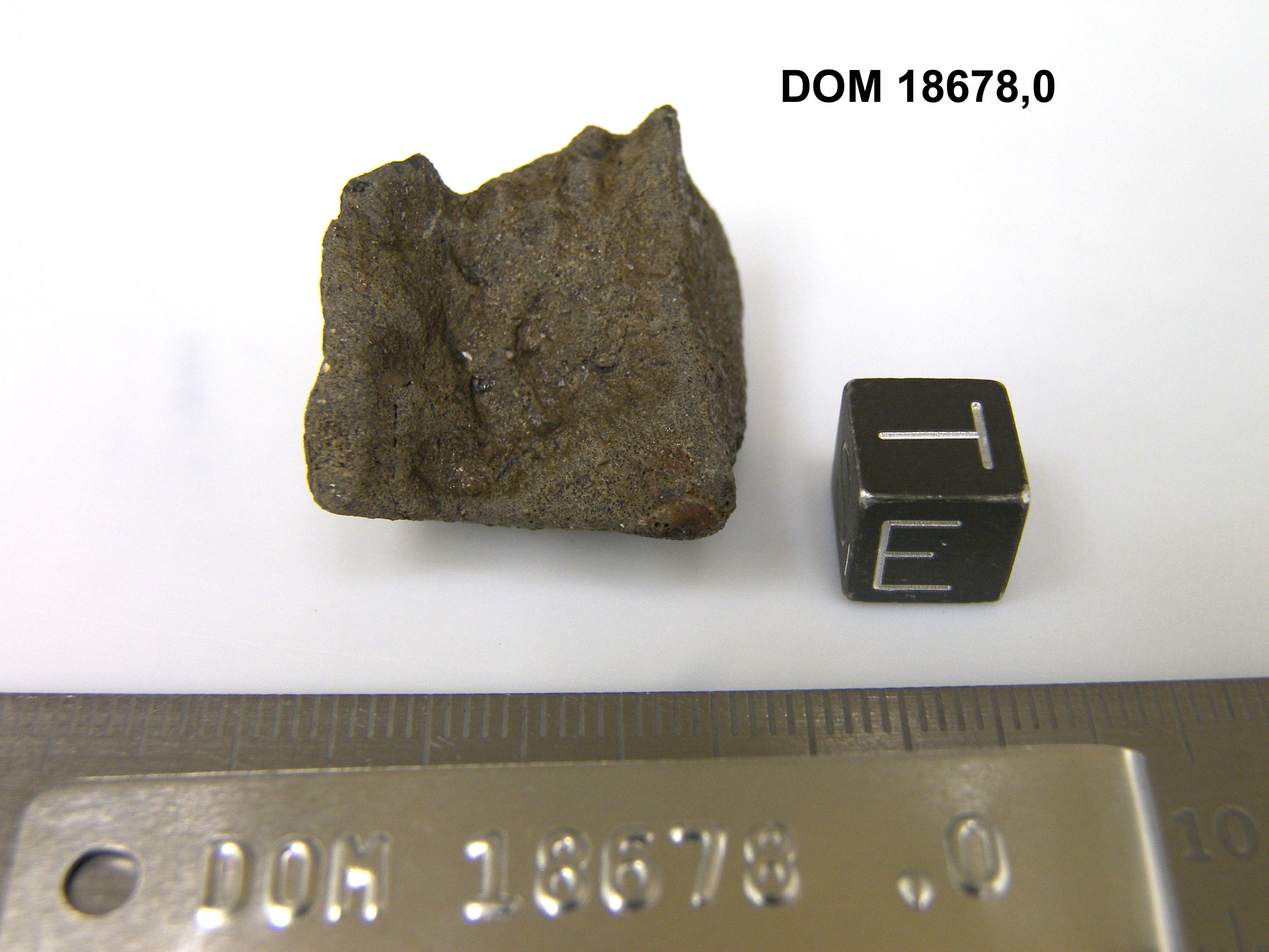 Lab Photo of Sample DOM 18678 Displaying East Orientation