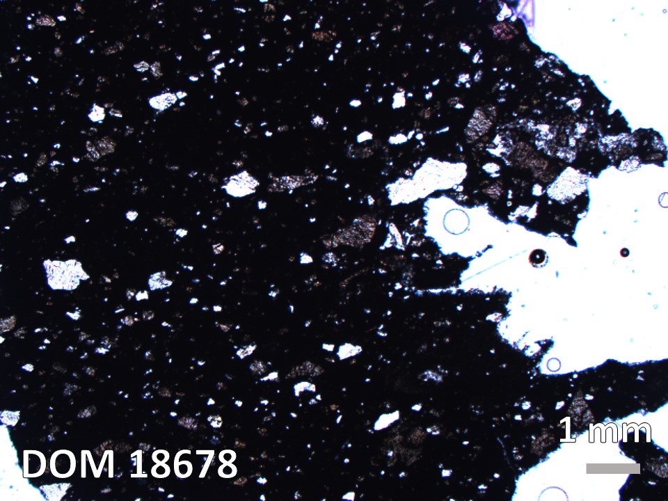 Thin Section Photo of Sample DOM 18678 in Plane-Polarized Light with 1.25X Magnification