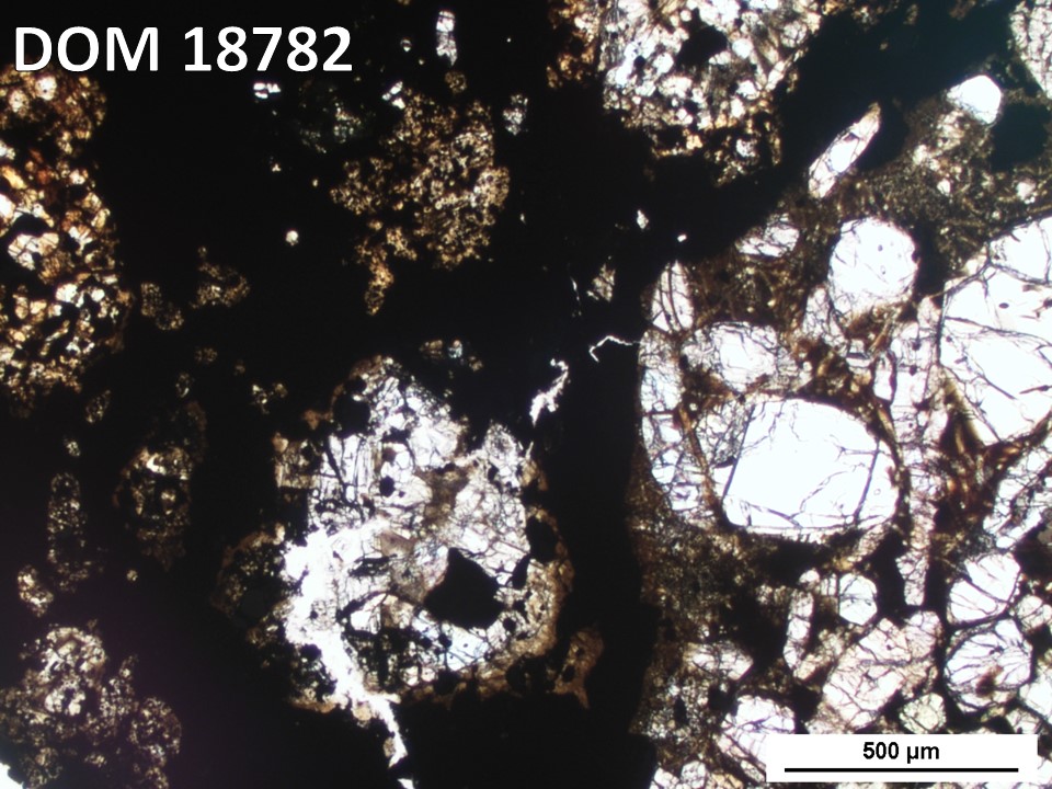 Thin Section Photo of Sample DOM 18782 in Plane-Polarized Light with 5X Magnification