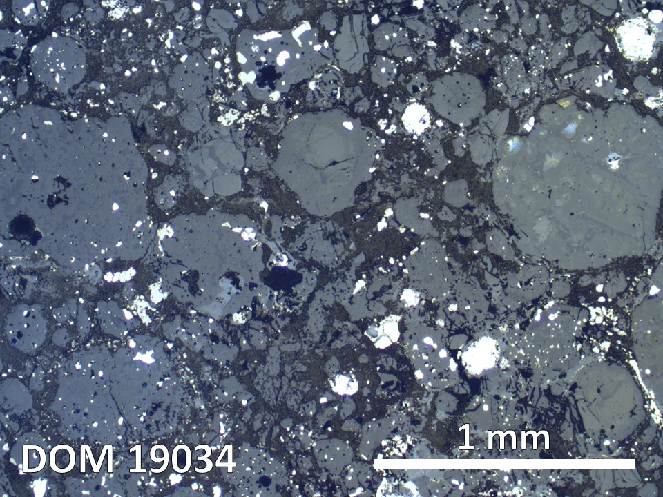 Thin Section Photo of Sample DOM 19034 in Reflected Light with 2.5X Magnification